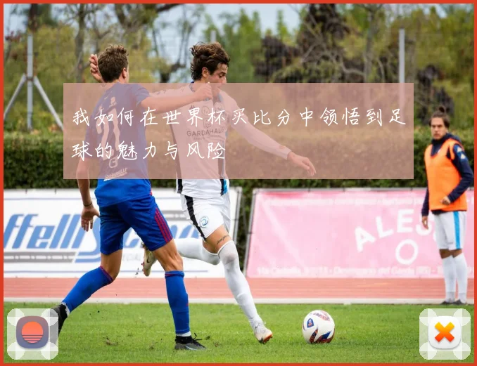 我如何在世界杯买比分中领悟到足球的魅力与风险