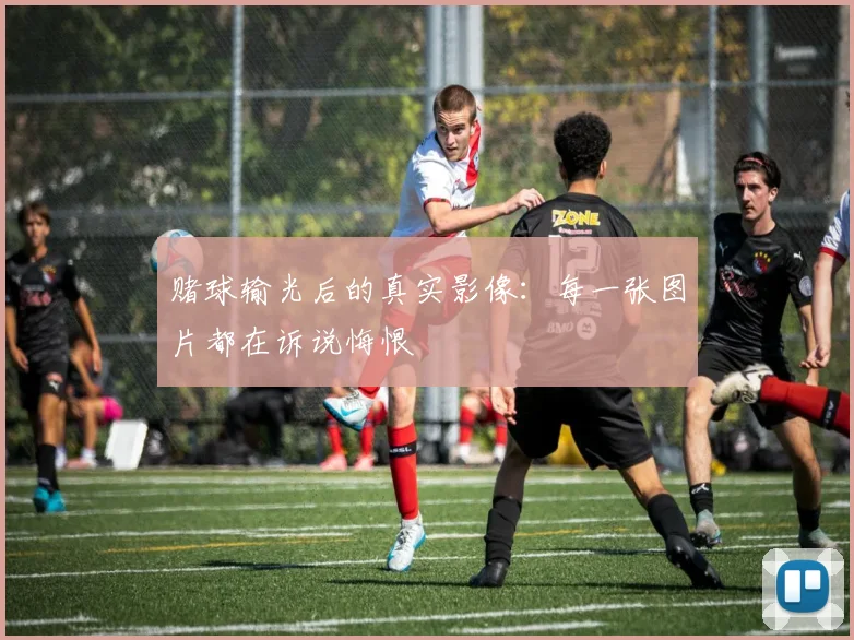 赌球输光后的真实影像：每一张图片都在诉说悔恨