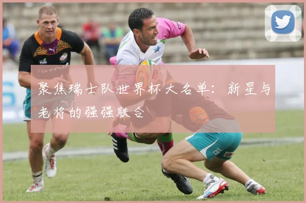 聚焦瑞士队世界杯大名单：新星与老将的强强联合