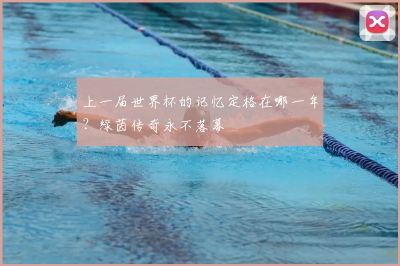 上一届世界杯的记忆定格在哪一年？绿茵传奇永不落幕