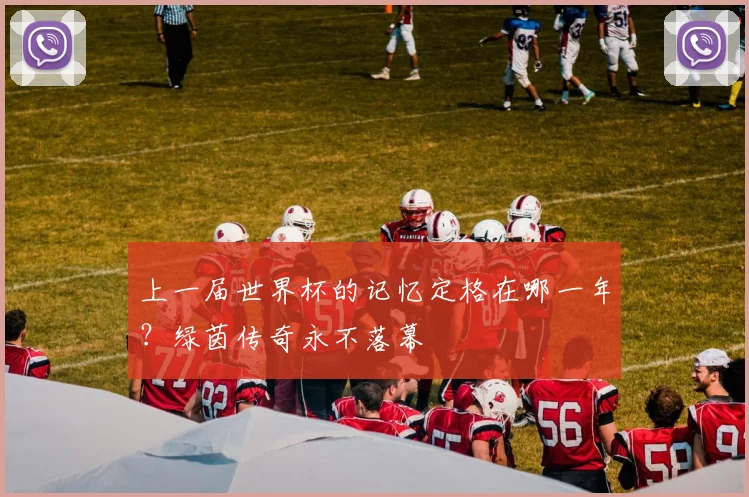 上一届世界杯的记忆定格在哪一年？绿茵传奇永不落幕