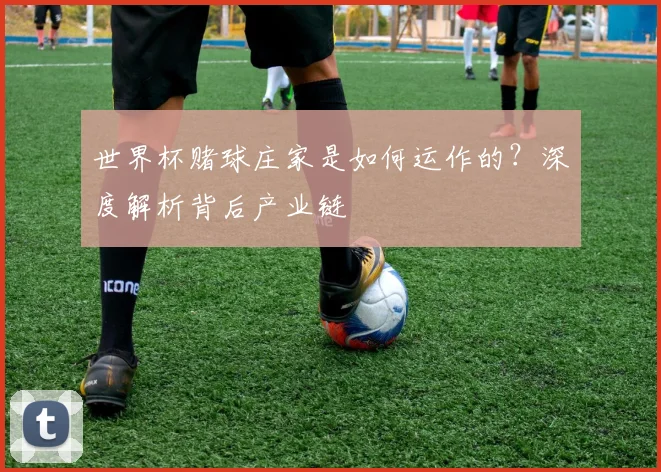 世界杯赌球庄家是如何运作的？深度解析背后产业链