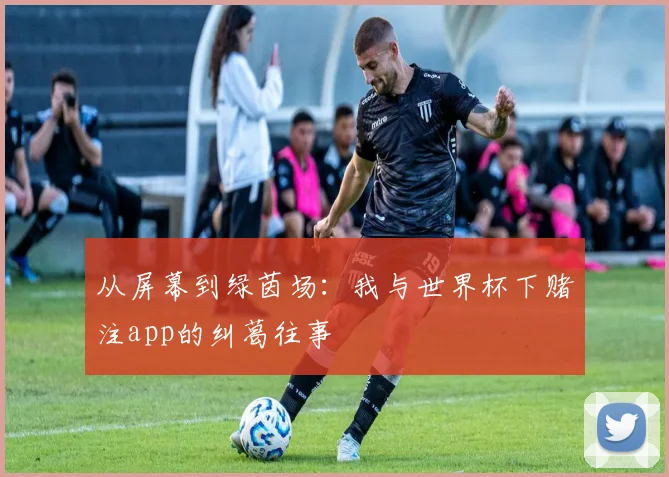 从屏幕到绿茵场：我与世界杯下赌注app的纠葛往事