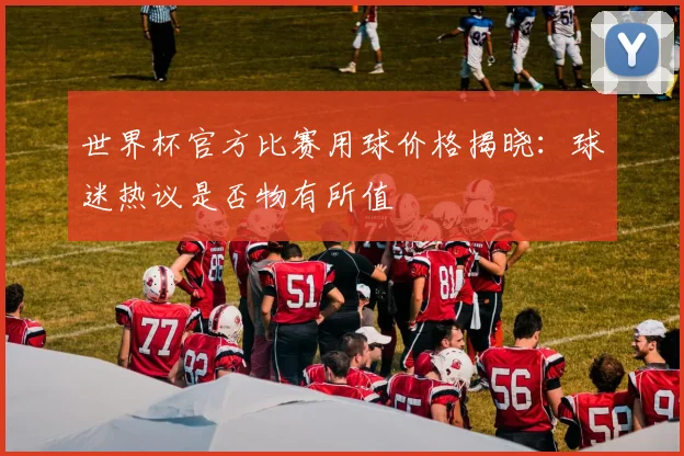 世界杯官方比赛用球价格揭晓：球迷热议是否物有所值