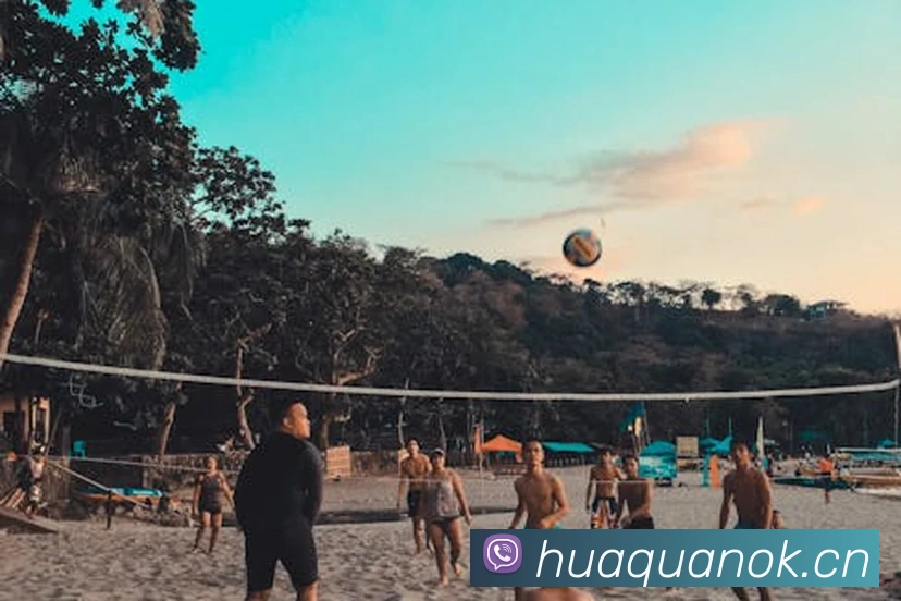 k1体育十年老品牌APP 封面图